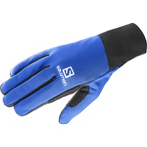 картинка ПЕРЧАТКИ SALOMON L39504700 EQUIPE GLOVE M Surf The Web от магазина
